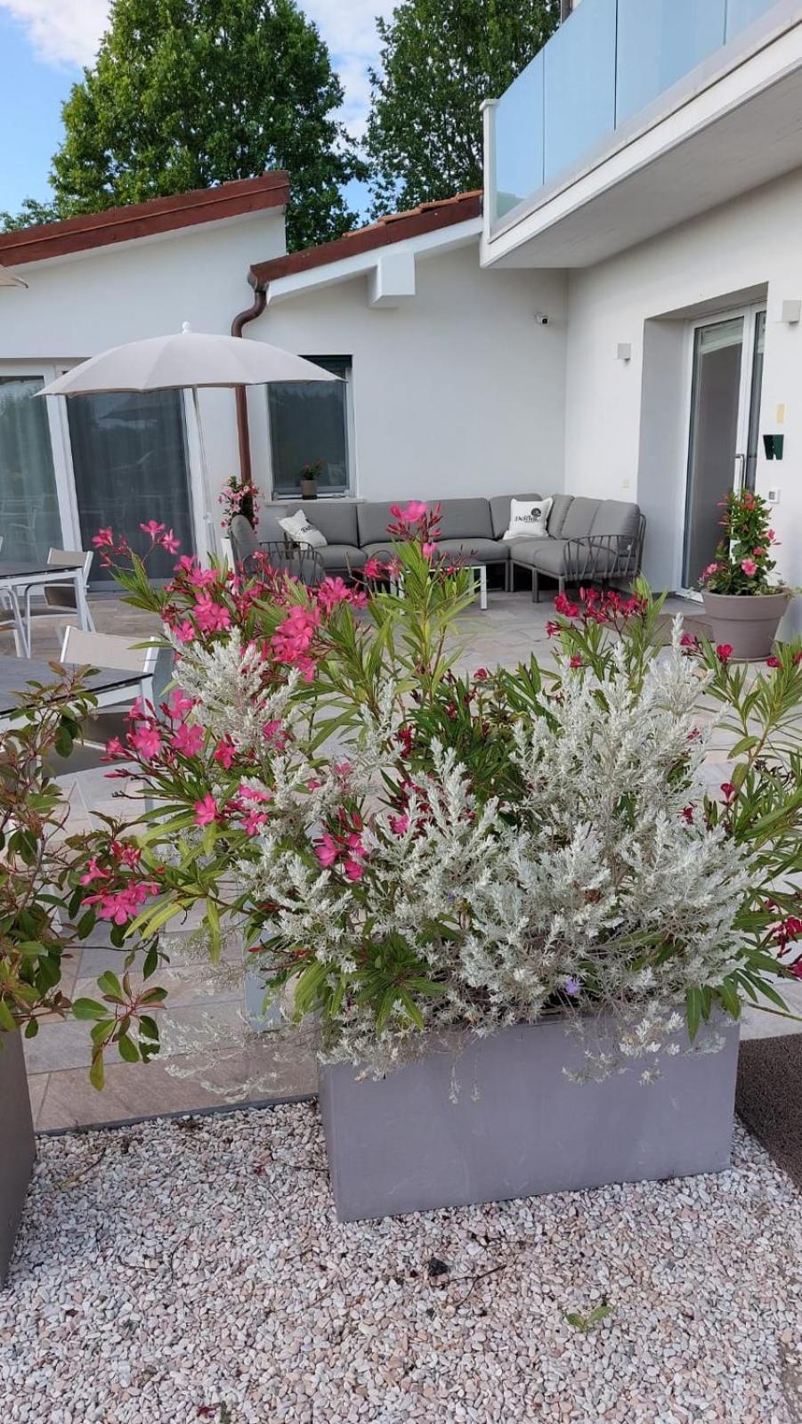I Delfini - Natural B&B Cesenatico Kültér fotó